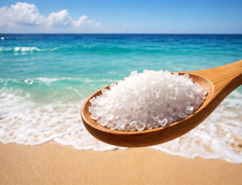 What Is Sea Salt? Origin, Uses, Types & Bulk Applications
